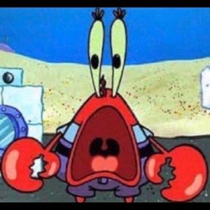 Meet your Posher, Janai